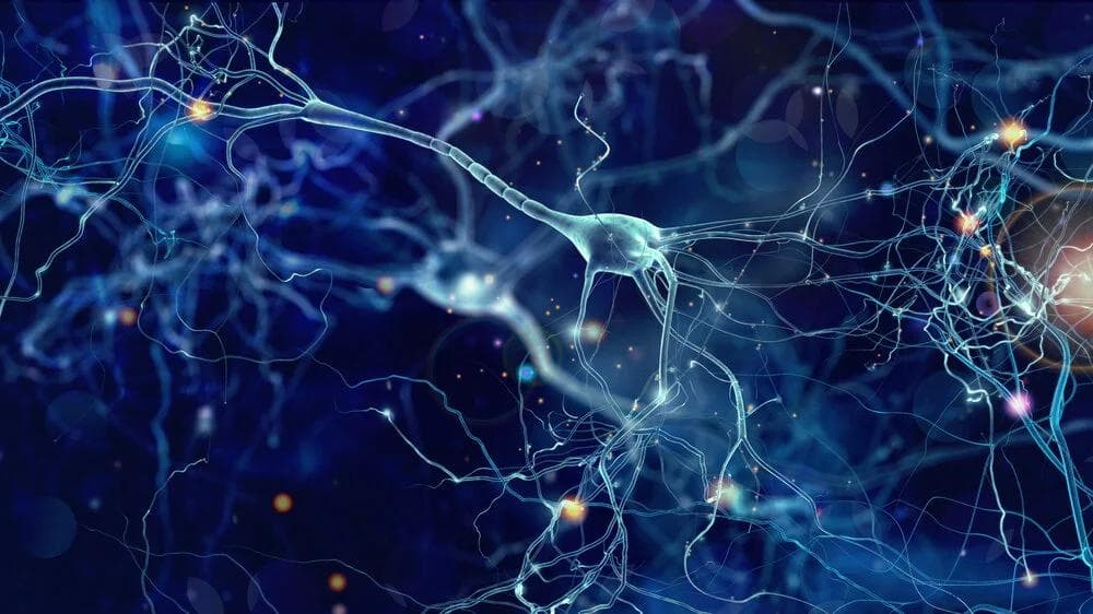 What Are Racetams? Benefits, Uses, Types & Side Effects Explained